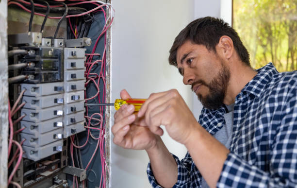 Best Ceiling Fan Installation Electrician  in Quincy, FL